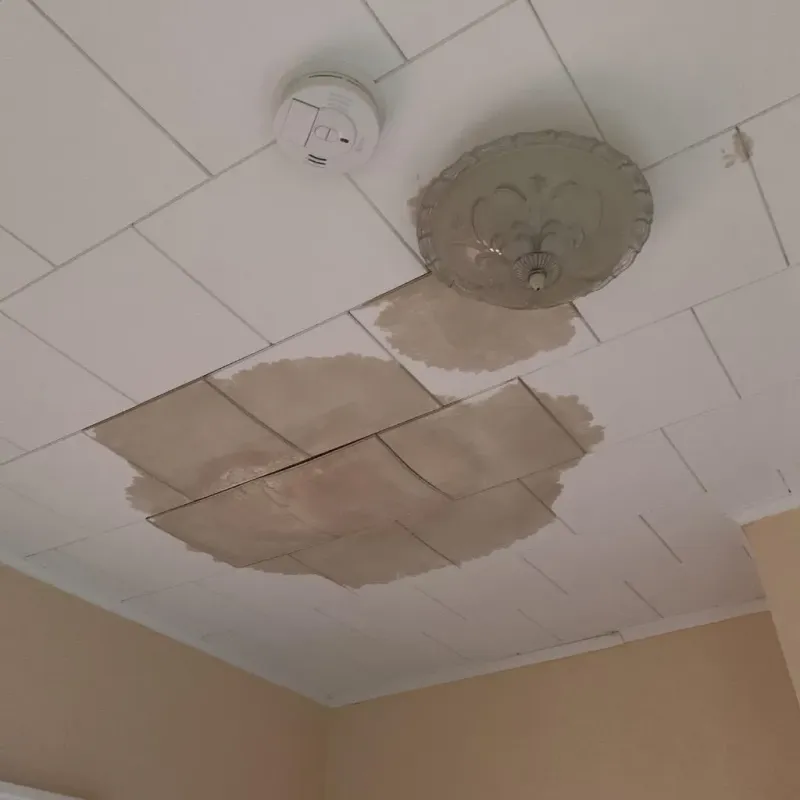 Ceiling Water Damage Repair in Orfordville, WI