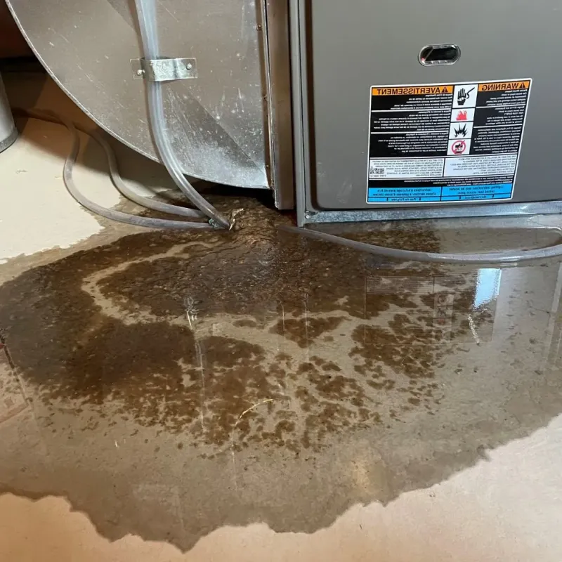Pipe Burst and Leak Restoration in Orfordville, WI