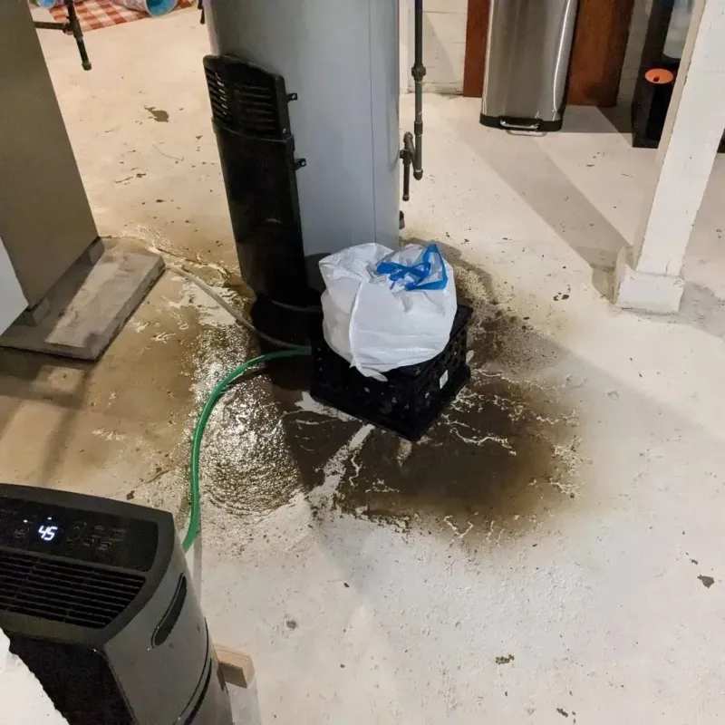 Sewage Backup Cleanup Service in Orfordville, WI